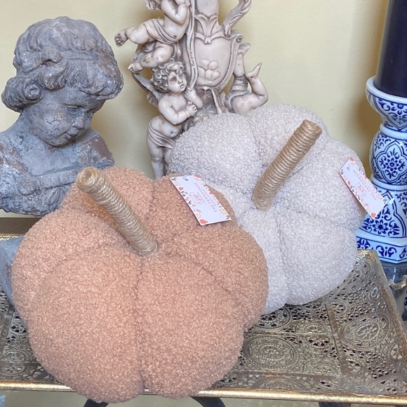 NEW! Fall Harvest FARMHOUSE Cottage Sherpa Peach & Cream Autumn Pumpkin Pillow - Picture 6 of 11